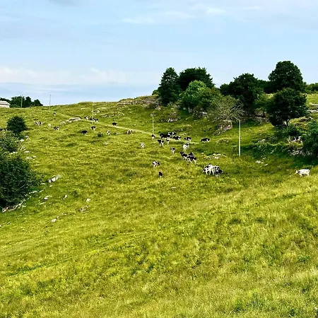 I Porsili Erbezzo