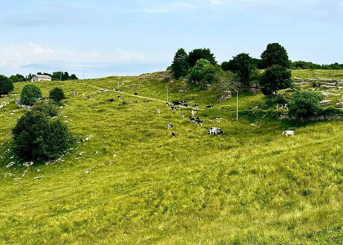 I Porsili Erbezzo
