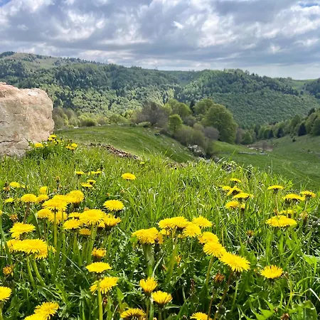 I Porsili Erbezzo